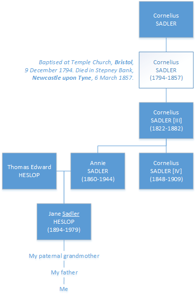 Sketch family tree of the Sadler family showing four generations named Cornelius.